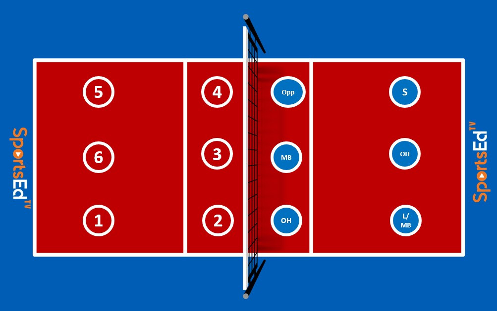 Olympic volleyball outlet positions